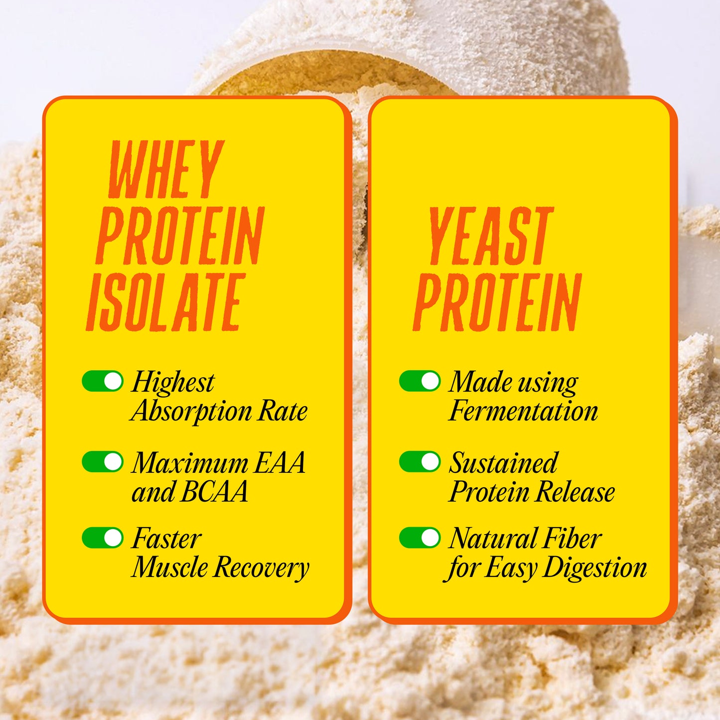 Whey protein isolate for fast absorption & muscle recovery vs fermented yeast protein for sustained release & digestion
