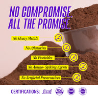 Ultimate Whey Isolate with Fermented Yeast Protein - Chocolate - 500gm