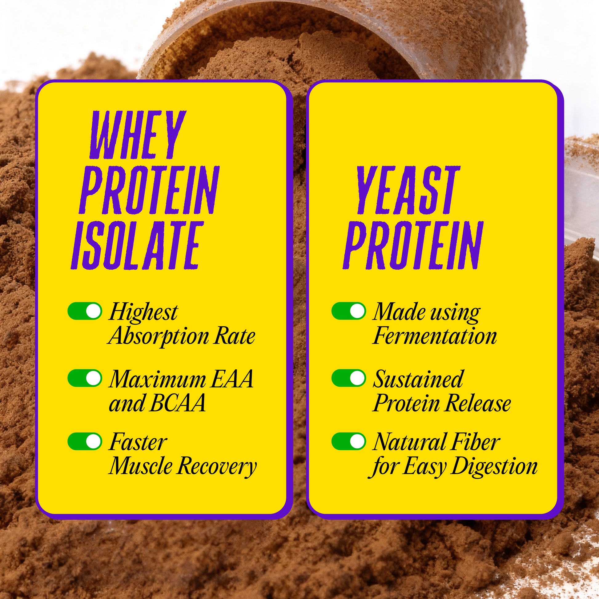 Whey protein isolate for fast absorption & muscle recovery vs fermented yeast protein for sustained release & digestion
