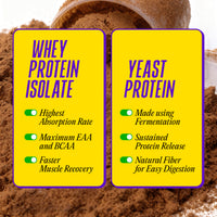 Whey protein isolate for fast absorption & muscle recovery vs fermented yeast protein for sustained release & digestion
