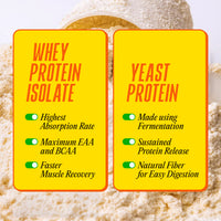 Whey protein isolate for fast absorption & muscle recovery vs fermented yeast protein for sustained release & digestion