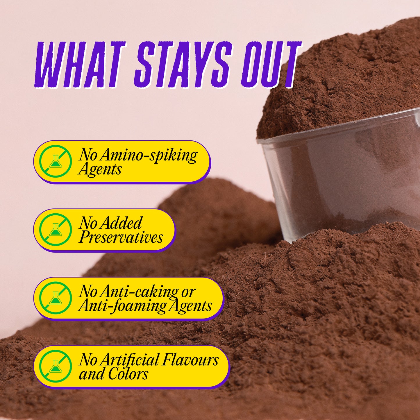 Whey Isolate Fermented Yeast Protein Chocolate - no amino-spiking agents, preservatives, or artificial flavours
